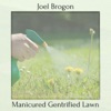 Manicured Gentrified Lawn - Single