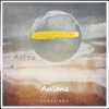 Anima II - Early June