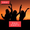 Alors on danse - Radio Edit by Stromae iTunes Track 41