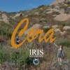 Cora - Single