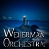 NoToneTyrone - Wellerman (Orchestral version)