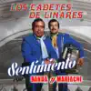 Sentimiento Con Banda y Mariachi album lyrics, reviews, download