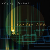 Steve Drizos - Shadow Life