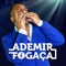 Mania de Querer (feat. Salgadinho) - Ademir Fogaça lyrics