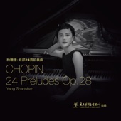 Preludes, Op. 28: No. 4 in E Minor, Largo artwork