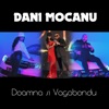 Doamna si Vagabondu - Single