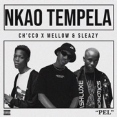 Nkao Tempela artwork