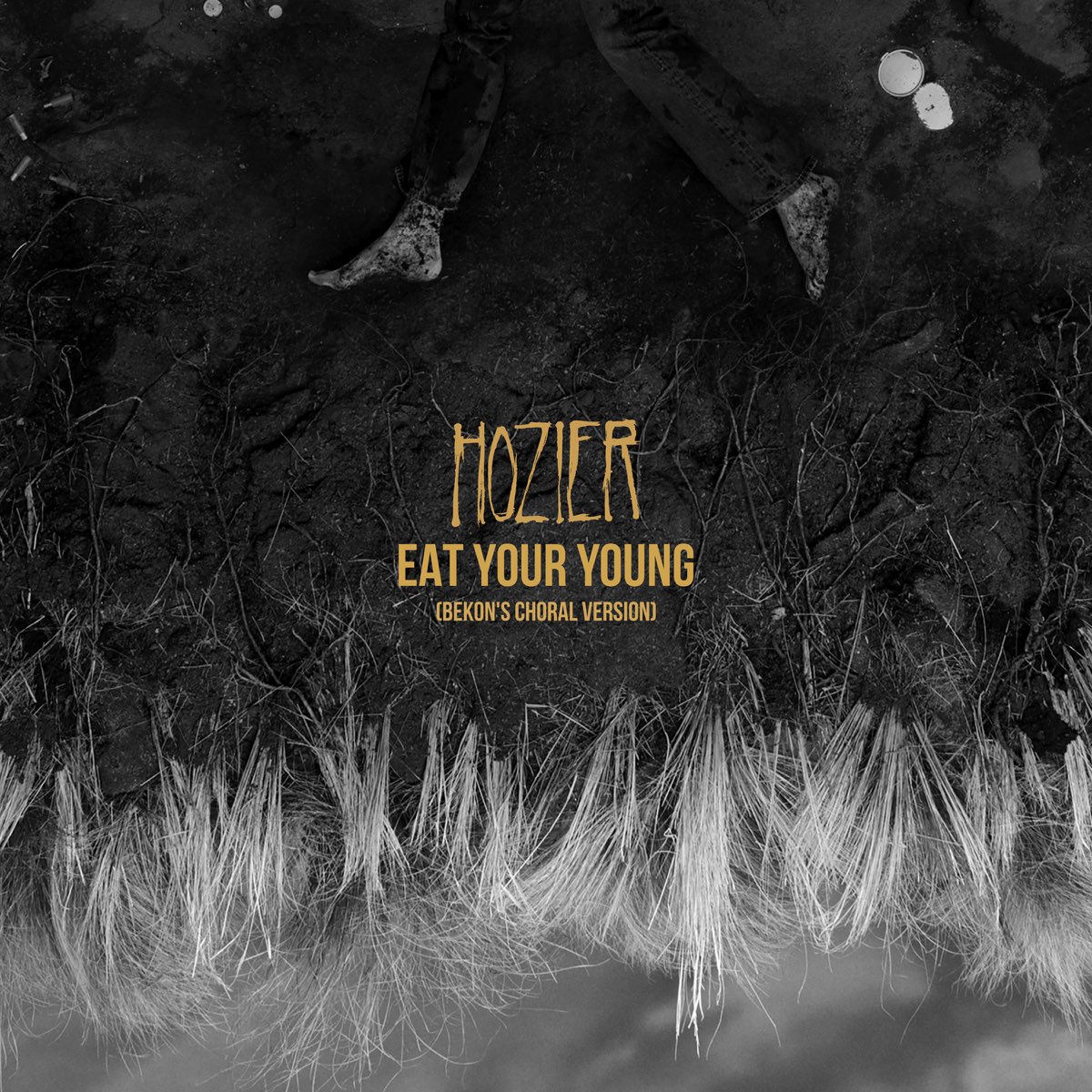 ‎Eat Your Young (Bekon's Choral Version) - Single By Hozier On Apple Music