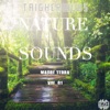 Nature Sounds - Madre Terra, Vol. 01 - EP