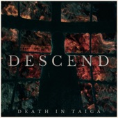 Descend artwork