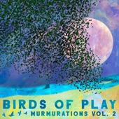 Birds of Play - Sandhill Cranes