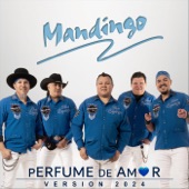 Mandingo - Perfume de Amor (Versión 2024)