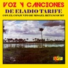 Voz Y Canciones