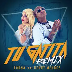 Tu Gatita (feat. Henry Mendez) [Remix] Song Lyrics