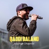 Qaddi baland