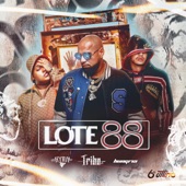 Lote 88 artwork