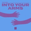 Into Your Arms - Single