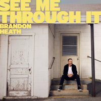 See Me Through It - EP - Brandon Heath Cover Art