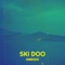 Ski Doo artwork