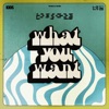 What You Want - Single