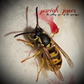 Pariah Jones - Spider Candy Eyes