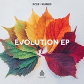 The Evolution EP artwork