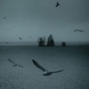 A Wish That Never Came True - Single