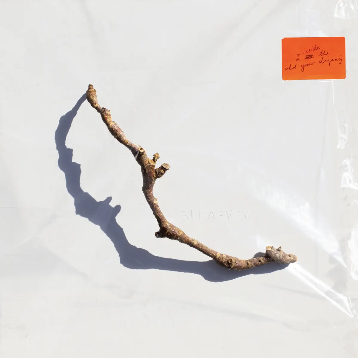 PJ Harvey - A Child's Question, August - Pre-Single (2023) [iTunes Plus AAC M4A]-新房子