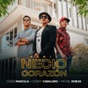 Necio Corazón (Remix Salsa) - Single