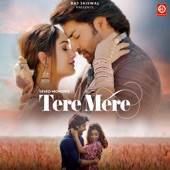 Tere Mere artwork