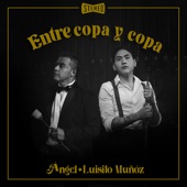 Entre Copa y Copa artwork