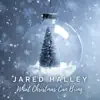 What Christmas Can Bring - EP album lyrics, reviews, download