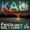 Fiesta Del Sol Y Luna - Single