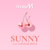 Sunny (feat. Connor Price) - Single