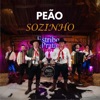 Peão Sozinho - Single