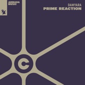 Prime Reaction artwork