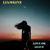 Love or Leave - Single album lyrics, reviews, download