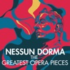 Nessun Dorma - The Greatest Opera Pieces artwork