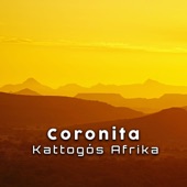 Kattogós Afrika artwork