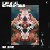 Dark Clouds (feat. Heerhorst & Peter Pahn) [Extended Mix] artwork