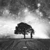 WHAT IS LOST IN the STARS (feat. Mvko) - Single album lyrics, reviews, download