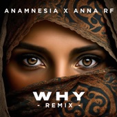 Why (Remix) artwork