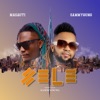 Sele (selelea) [feat. Sammyoung] - Single