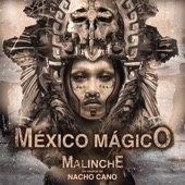 México Mágico artwork