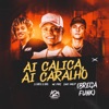 Ai Calica, Ai Caralho (Brega Funk) - Single