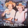 Éxitos de Oro, Vol. 1