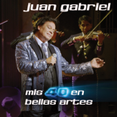Mis 40 en Bellas Artes (En Vivo Desde Bellas Artes, México, 2013) - Juan Gabriel Cover Art