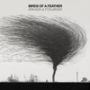 Birds Of A Feather - Single