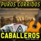 Arreola Reyes - Los Caballeros del Norte lyrics