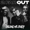 Calling Me Crazy - Single